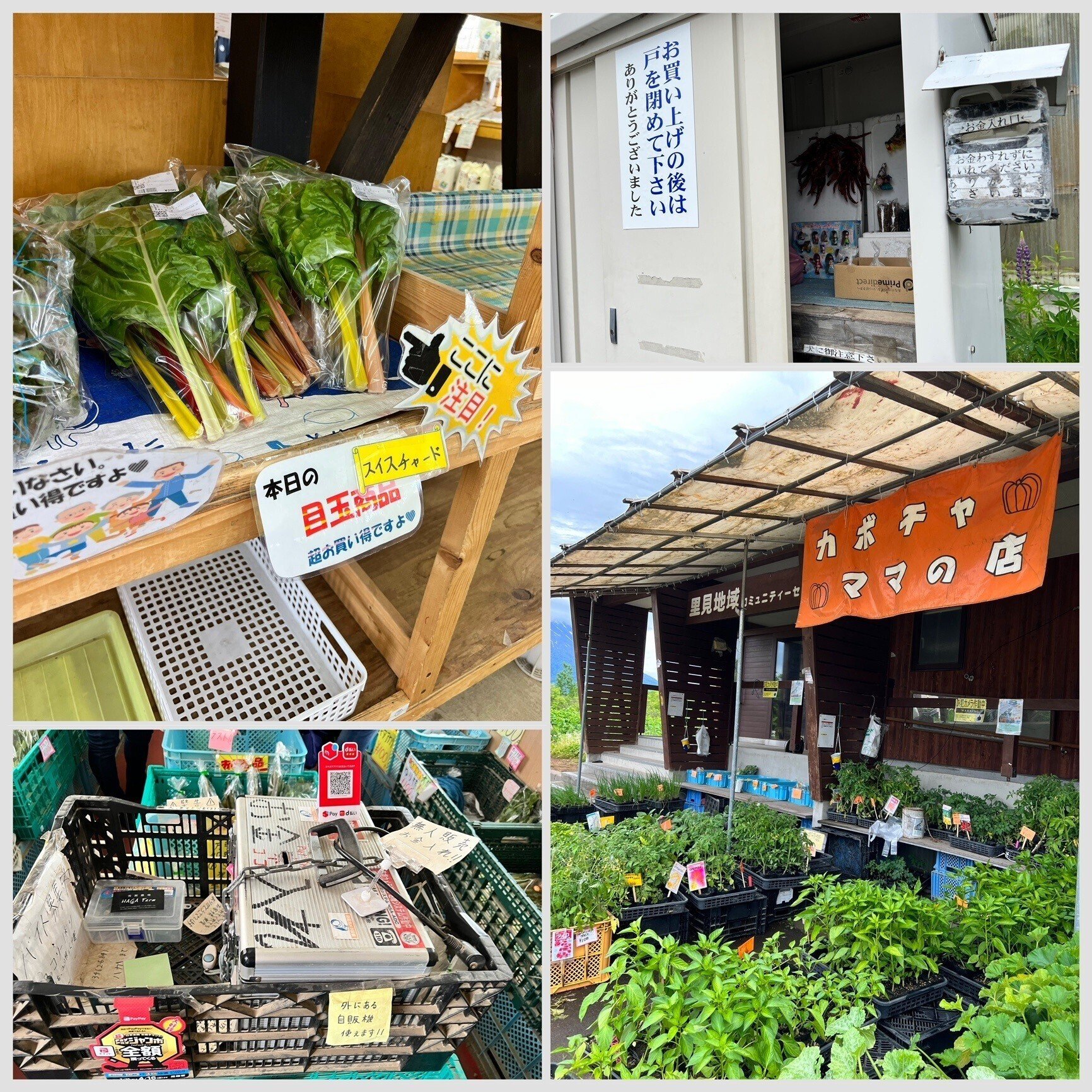 北海道☆お野菜屋さん 八百屋 #八百屋さん #やおやさん #札幌 #東区 #北海道 #野菜 #果物