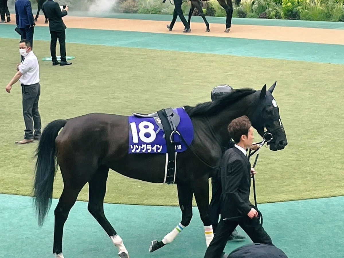 旅行記】沛然と降る花の道を放浪の歌が往く｜蒼生 行（道等棟エヴリカ）