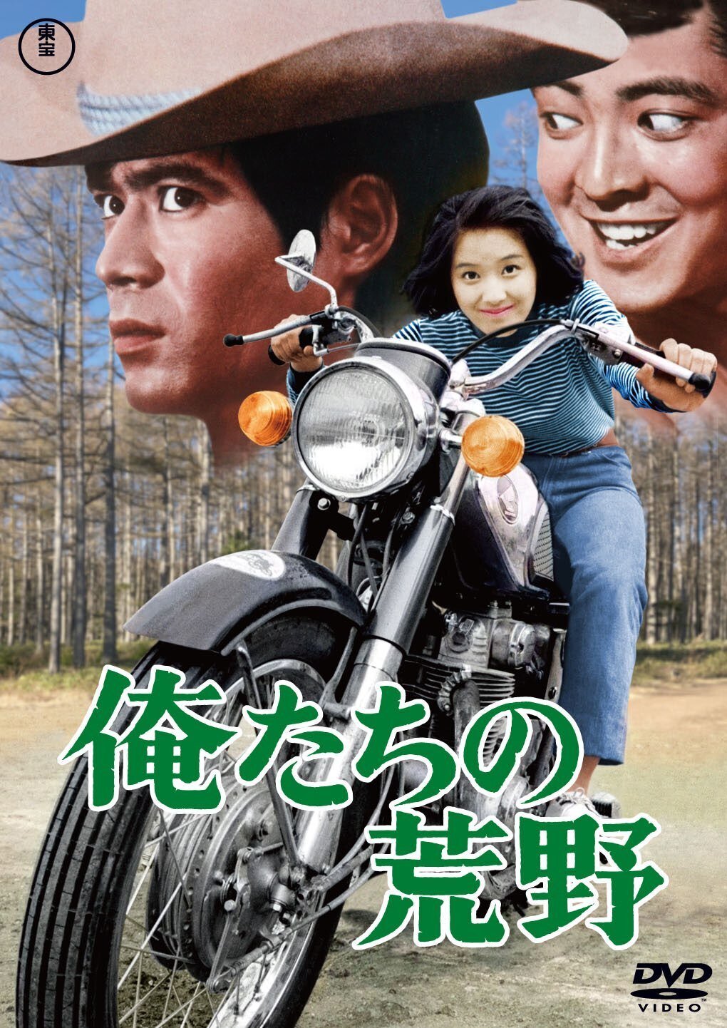 内藤洋子＆酒井和歌子 1960年代東宝アイドルの青春映画6