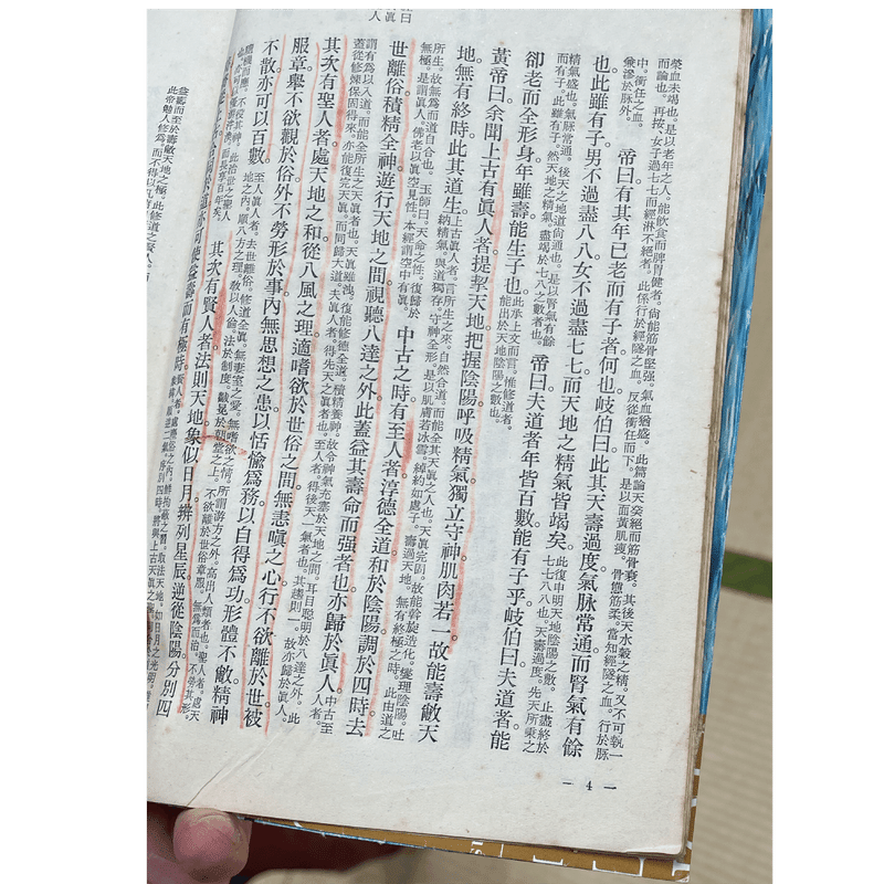 気功奥義 解説書』発売に寄せて。盛鶴延先生へのインタビュー｜気功で