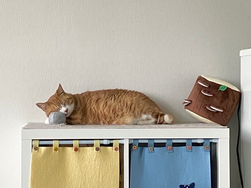 フェルトのボールを枕にして眠っている器用な猫さんの写真。