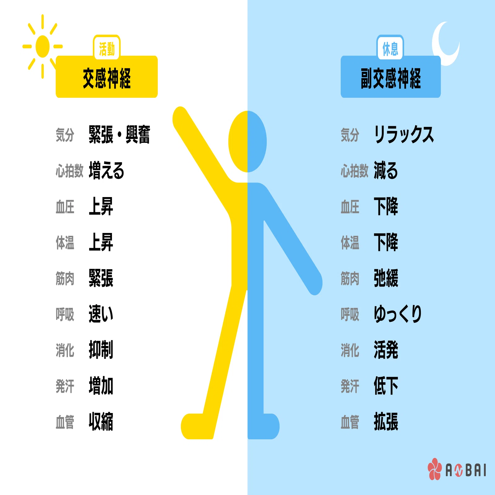 ANBAI」のストレス計測の仕組みは？ 自律神経データからわかるあれこれ