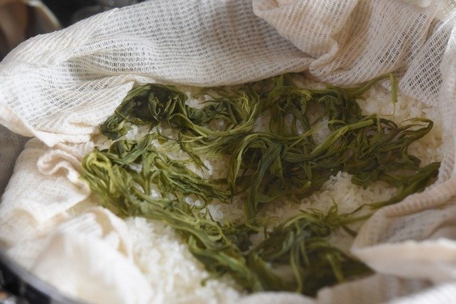 臼と杵を買った以上、家で餅をつきまくる！の巻｜白ごはん.com