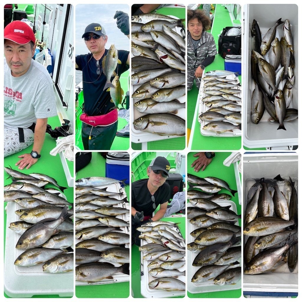 鯵、鯖、五目釣り仕立て船メンバー募集
