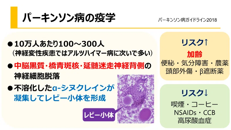 脳21 vol.19 no.4(201-脳と神経の総合学術誌 特集:パーキンソン病の基礎と臨床の最先端 こころと脳の発達 [単行本] 脳21 vol.19 no.4(201-脳と神経の総合学術誌 特集:パーキンソン病の