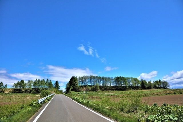 北海道の農道