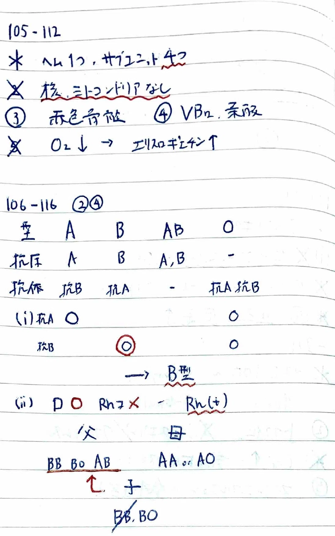 薬剤師国家試験を精読する#50（貧血）｜Writer_Rinka