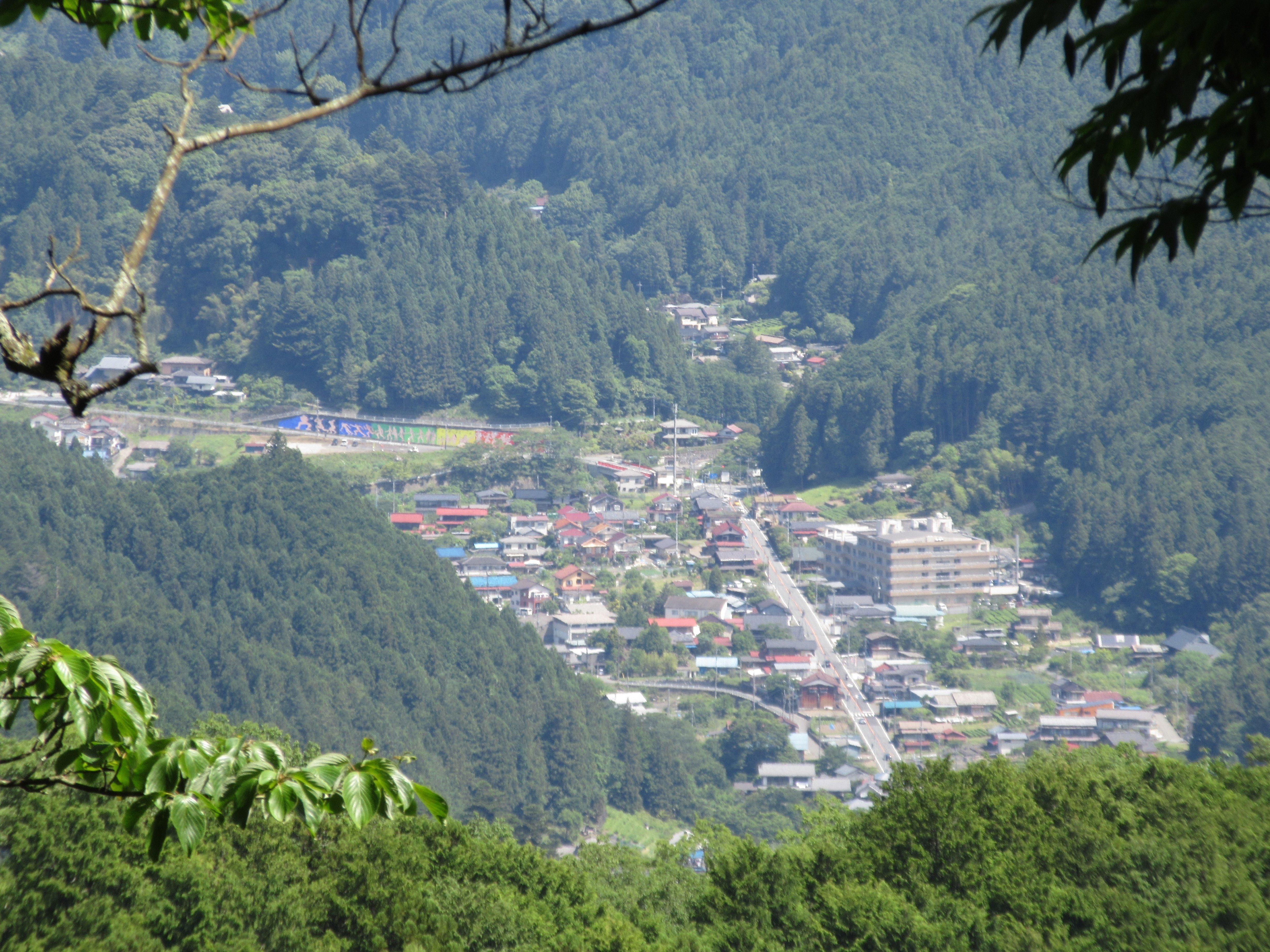 アラ古希ジイジの山歩き帳 都県境尾根(上成木-小沢峠-黒山 アラ古希ジイジの山歩き帳 都県境尾根(上成木-小沢峠-黒山