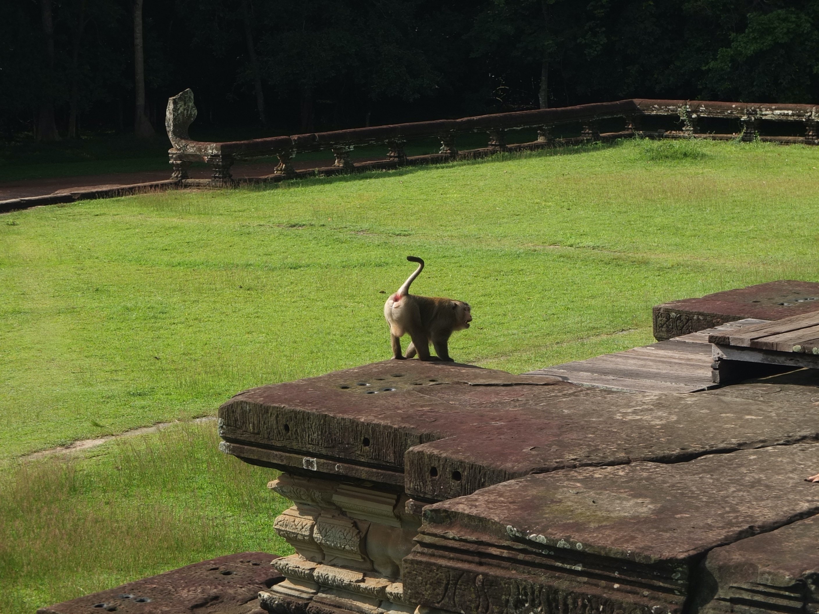 遺跡探訪38】裏からアンコールワットに入ってみた（Angkor Wat