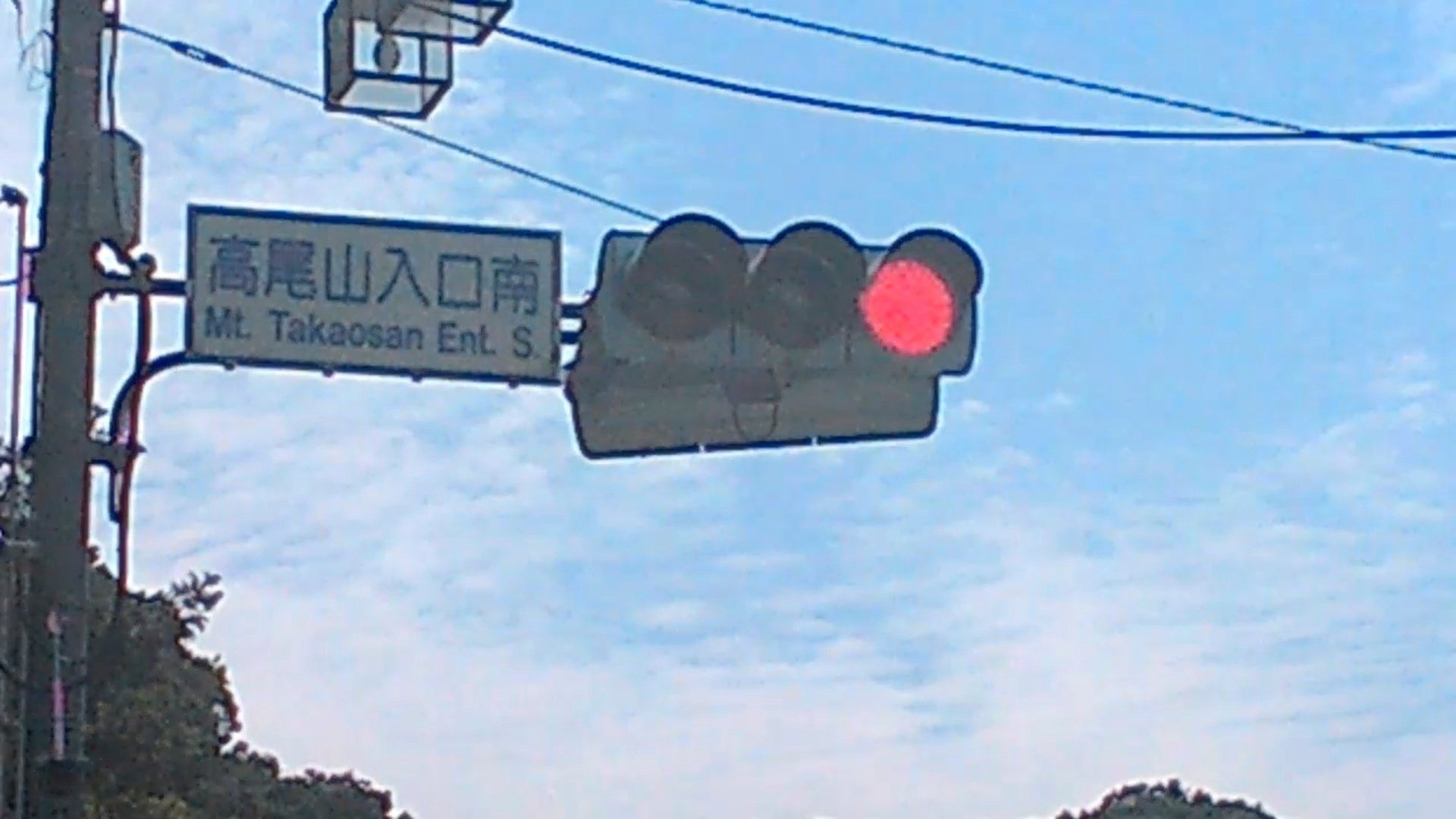 手渡し限定！信号機看板(時差式) 信号機】角型集約灯器【差分ちょっと奴】 - えりんのきおく
