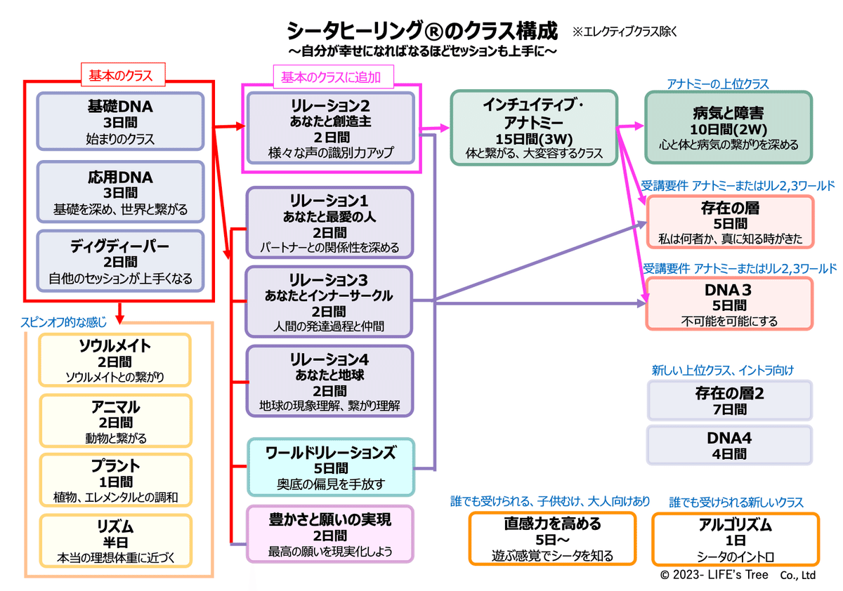 クラス紹介】インチュイティブアナトミー(超感覚的解剖学