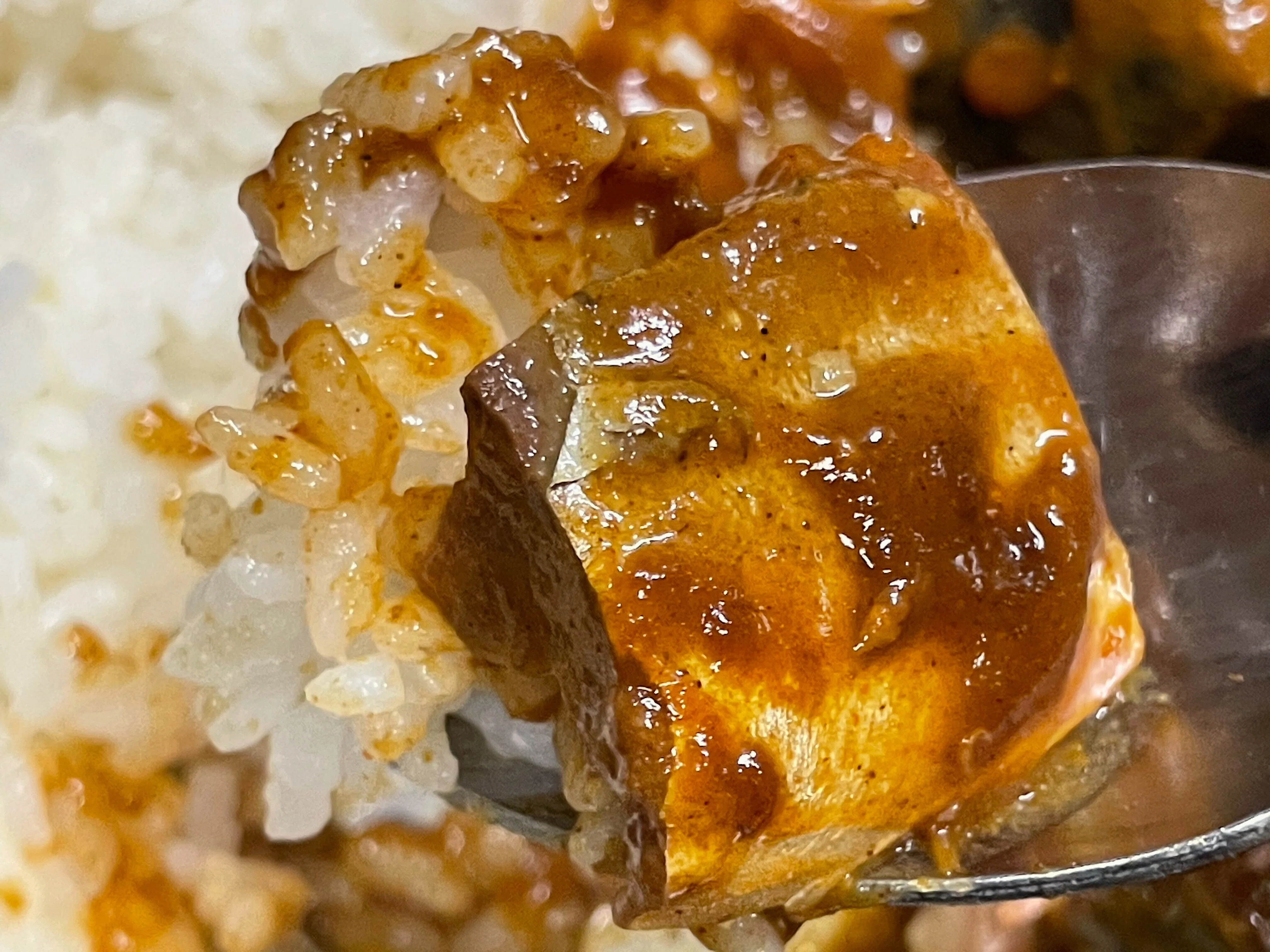 さばカレー、またはサバカリー｜小野瀬雅生