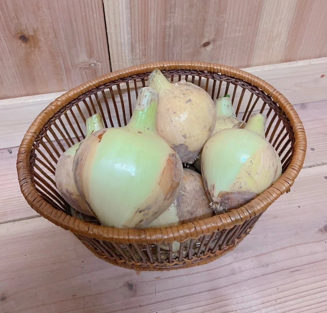 山芋 山芋の王様」の生産者のお手伝いに行ってみた【島民インタビュー