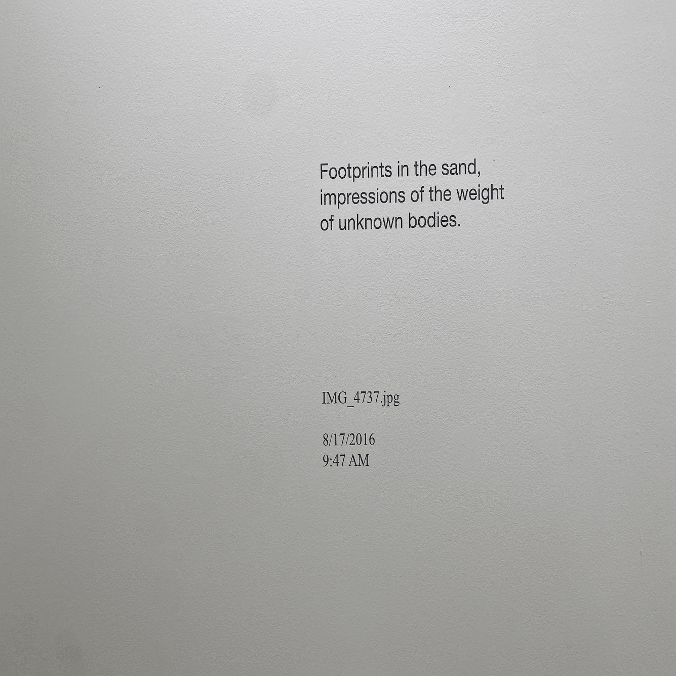 現代写真マガジン「POST/PHOTOLOGY」#0004／デヴィッド・ホーヴィッツ