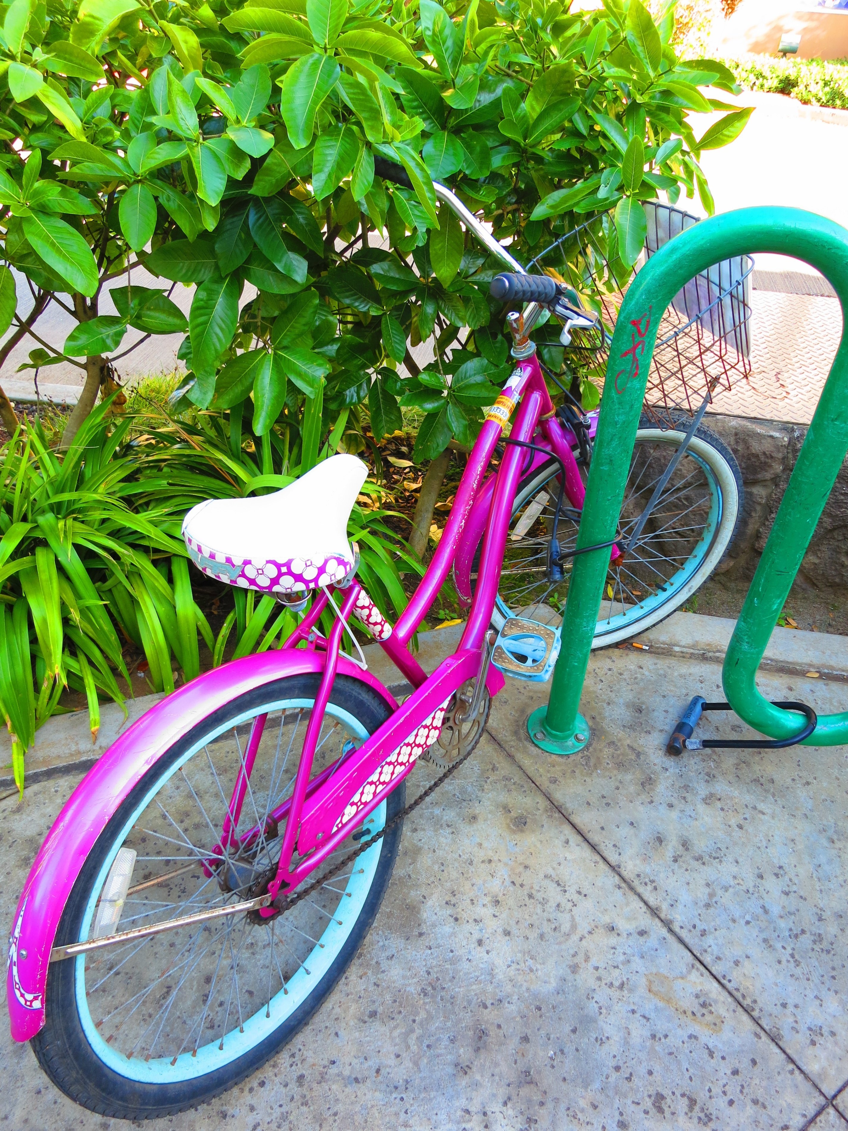 ハワイへの初めての女ひとり旅】🌺カイルア自転車散策（途中挫折）と