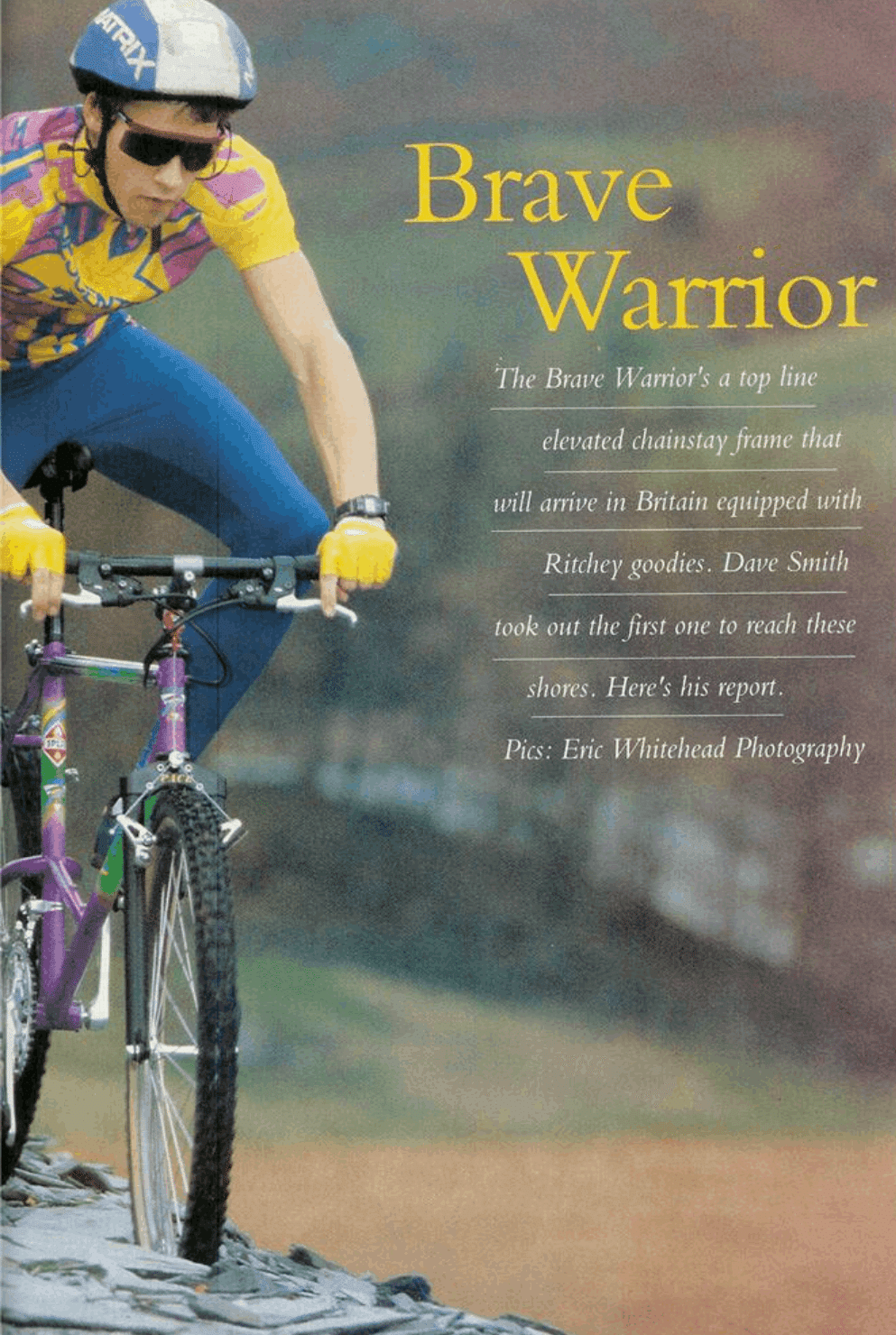 オールドマウンテンバイクbrave warrior
