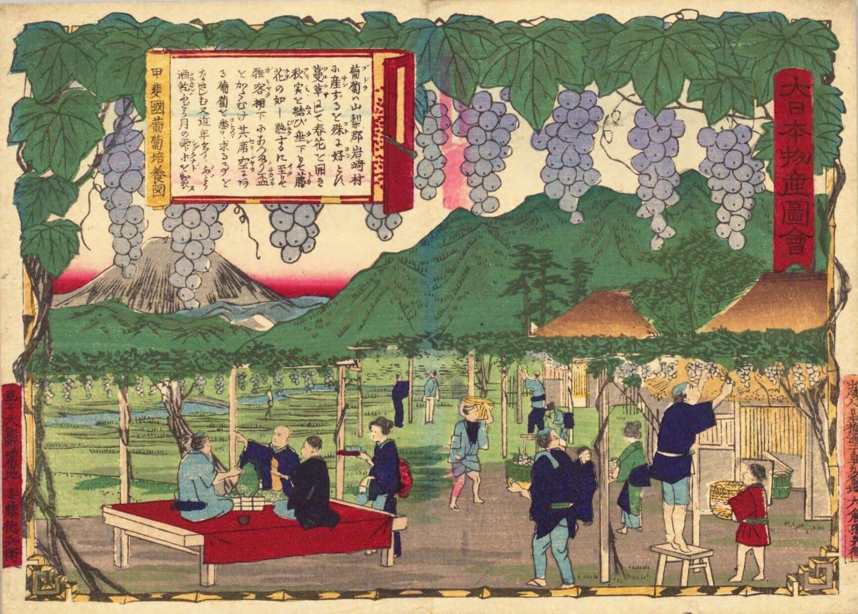 甲斐国 葡萄培養図｜mominaina