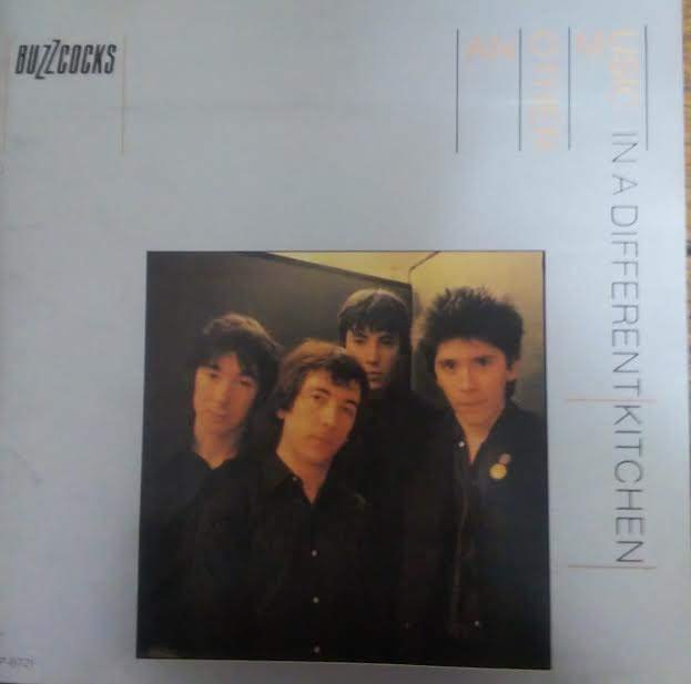 パルスビートの衝撃―バズコックス｜奎文初