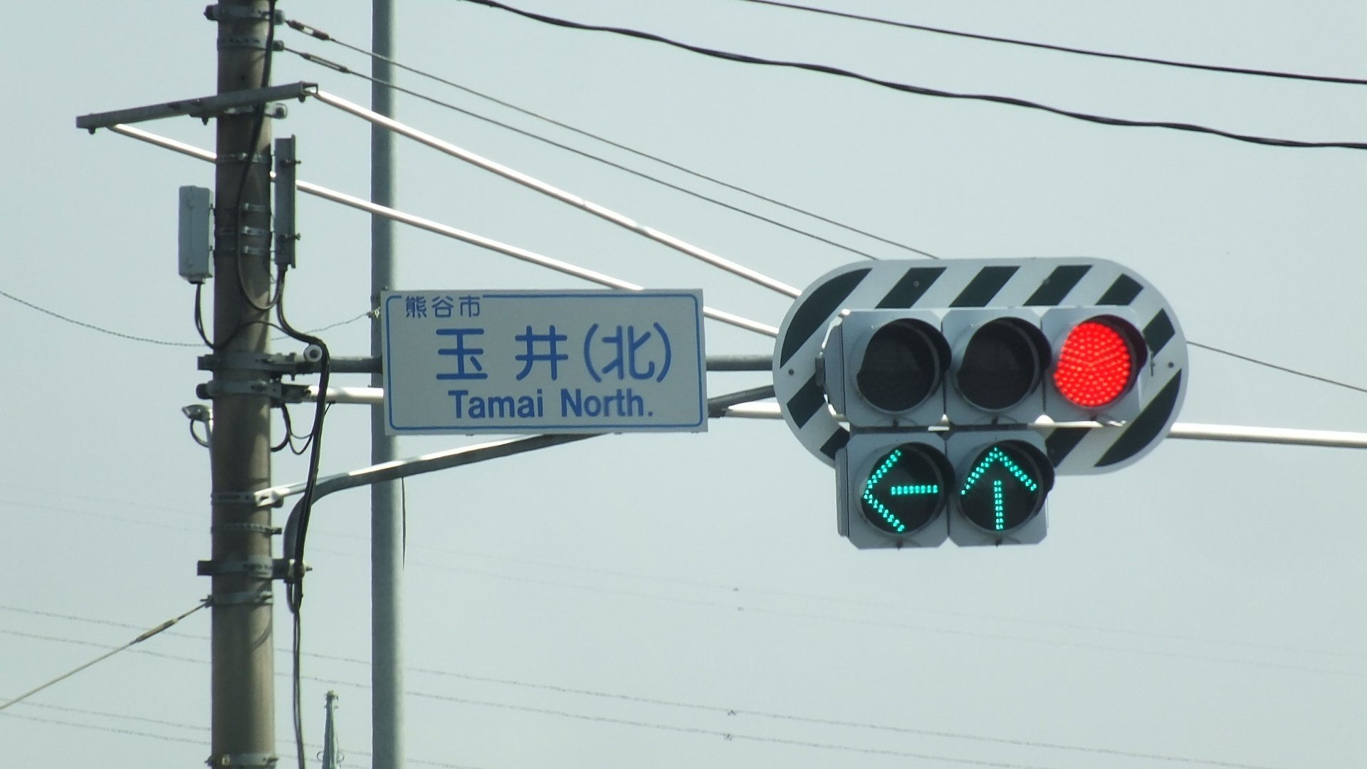 ゼブラ付き日信初代薄型面拡散ユニット+左折・直進矢印灯 in ゼブラ付き日信初代薄型面拡散ユニット+左折・直進矢印灯 in