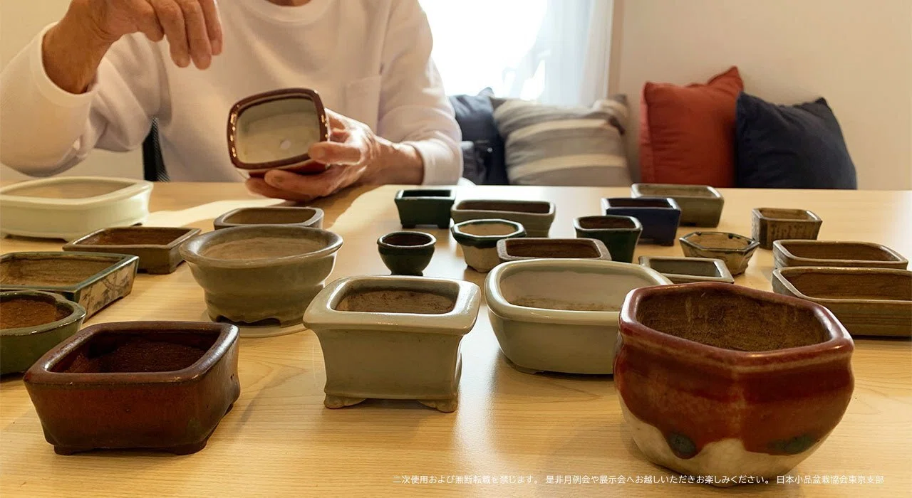 秋の是好鉢展42 秋の是好鉢展42