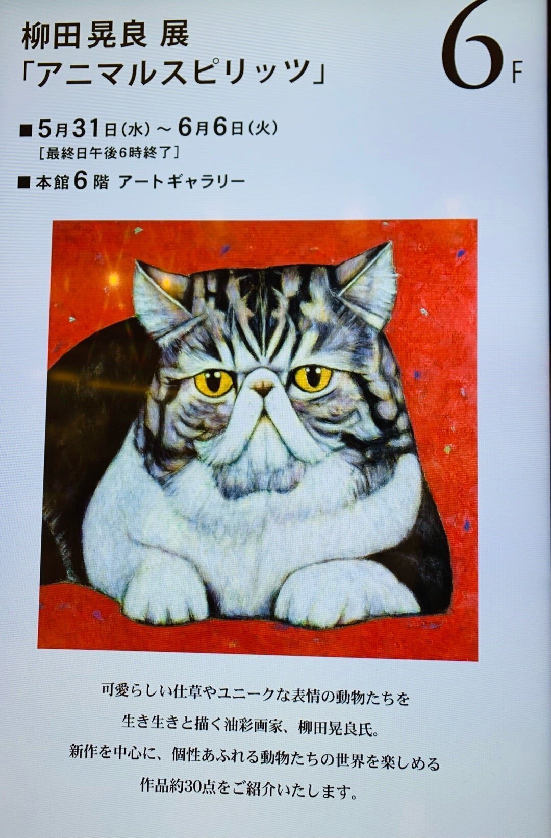柳田 晃良の『ネコ』油絵 - 美術品