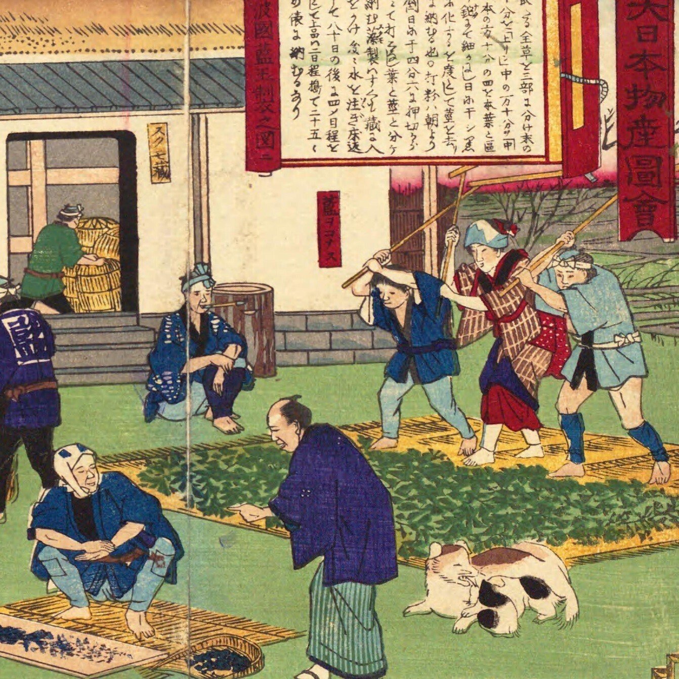 阿波国 藍製之図 藍玉製之図|mominaina 阿波国 藍製之図 藍玉製之図|mominaina