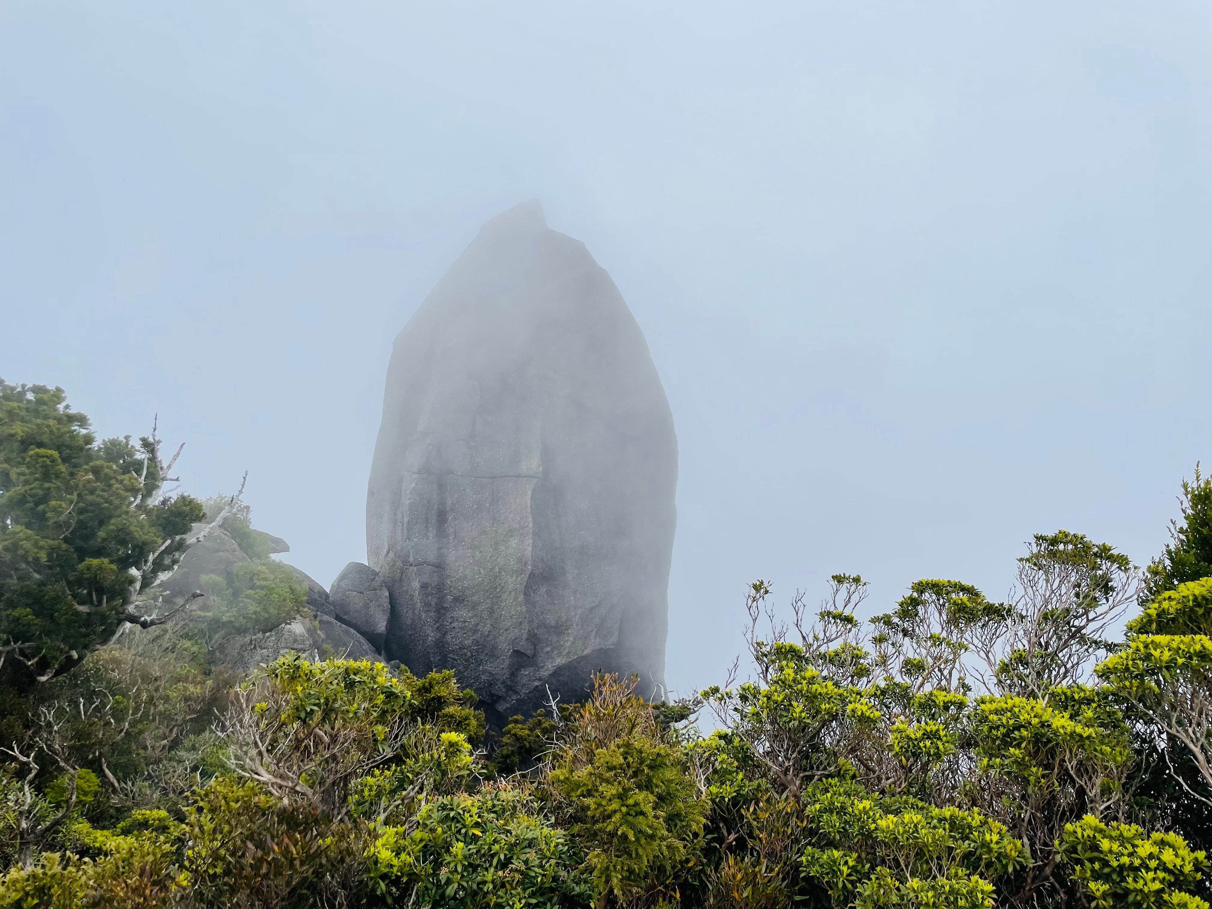 太忠岳・天柱石へ。アニソンをかけないで、ちょっと心折れそうに