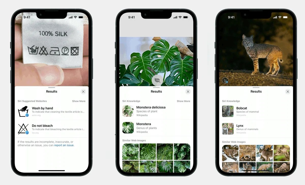 [iOS 17] Visual Look Upの実力を試す #WWDC23｜shu223