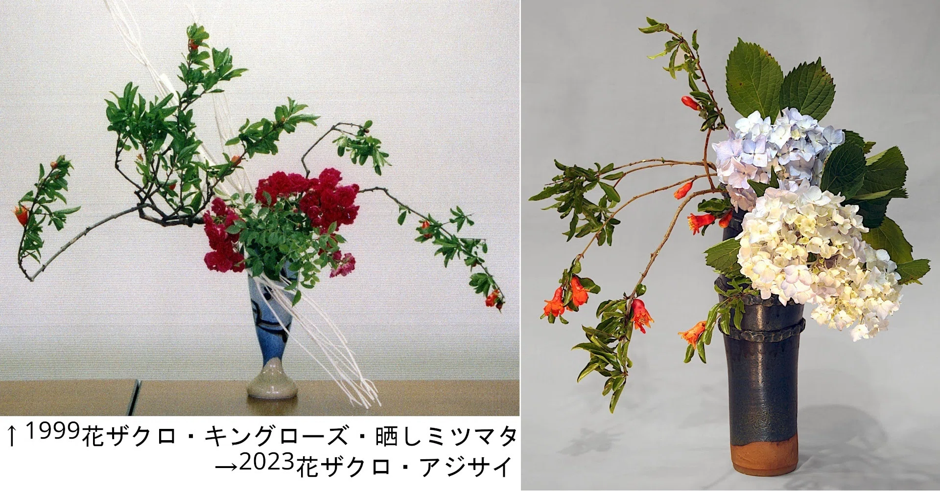 柘榴　生花 柘榴 生花 【公式通販】