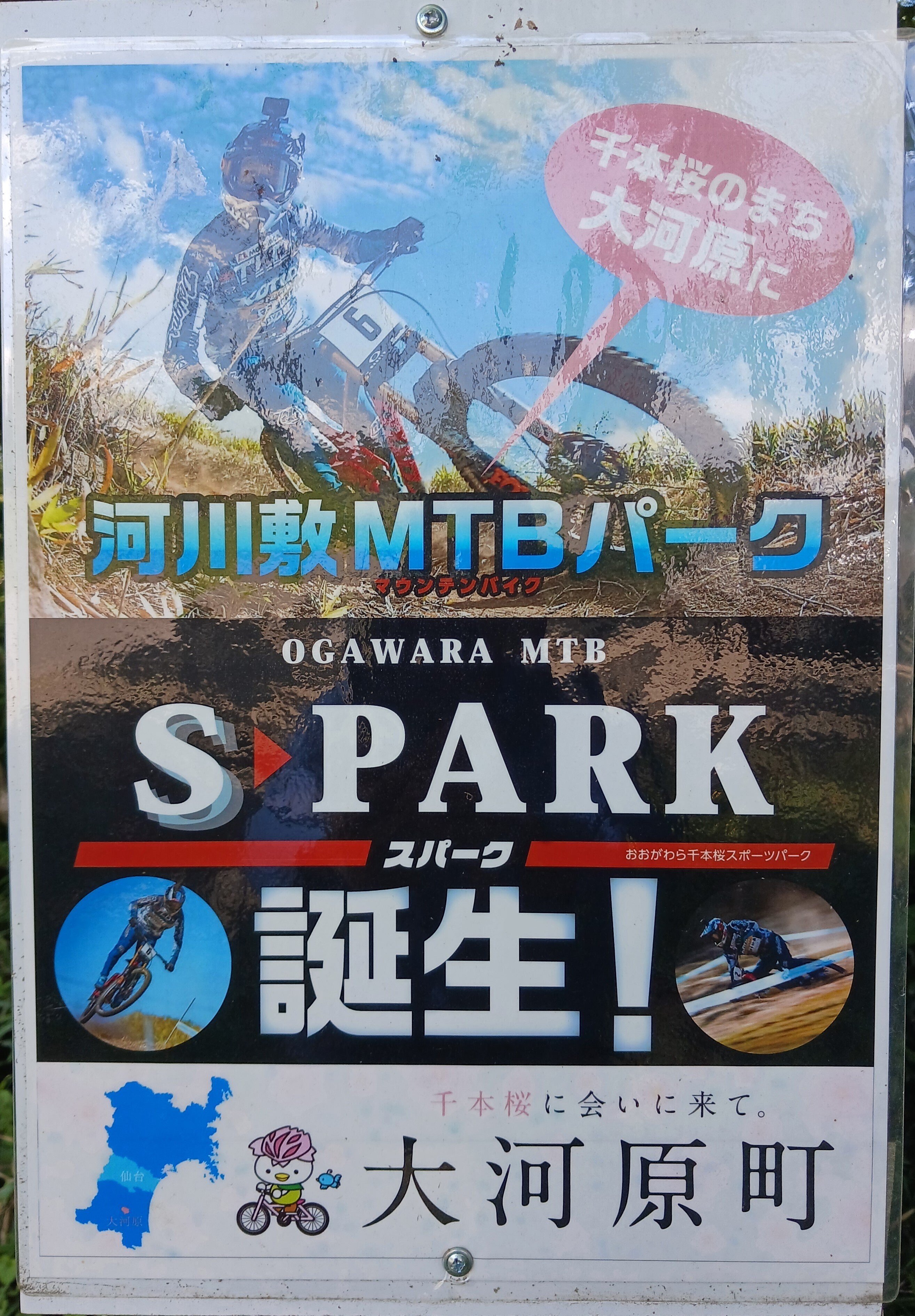 Oh瓦版 NEXT 桜の町の新スポット〜大河原桜ライン&MTBパーク 青空のも