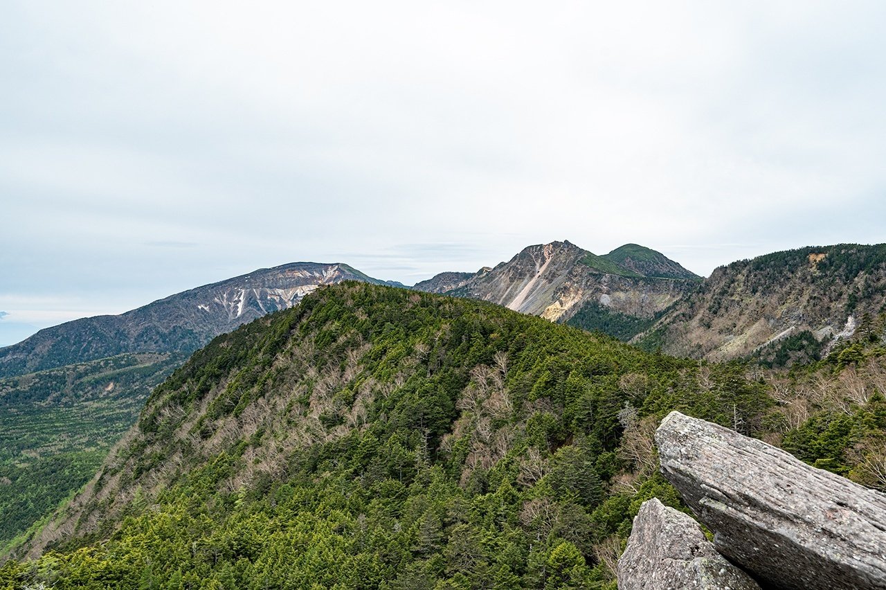 初！八ヶ岳ソロ山のぼりに大興奮〜苔の森とニュウ〜｜ほんだよしこ