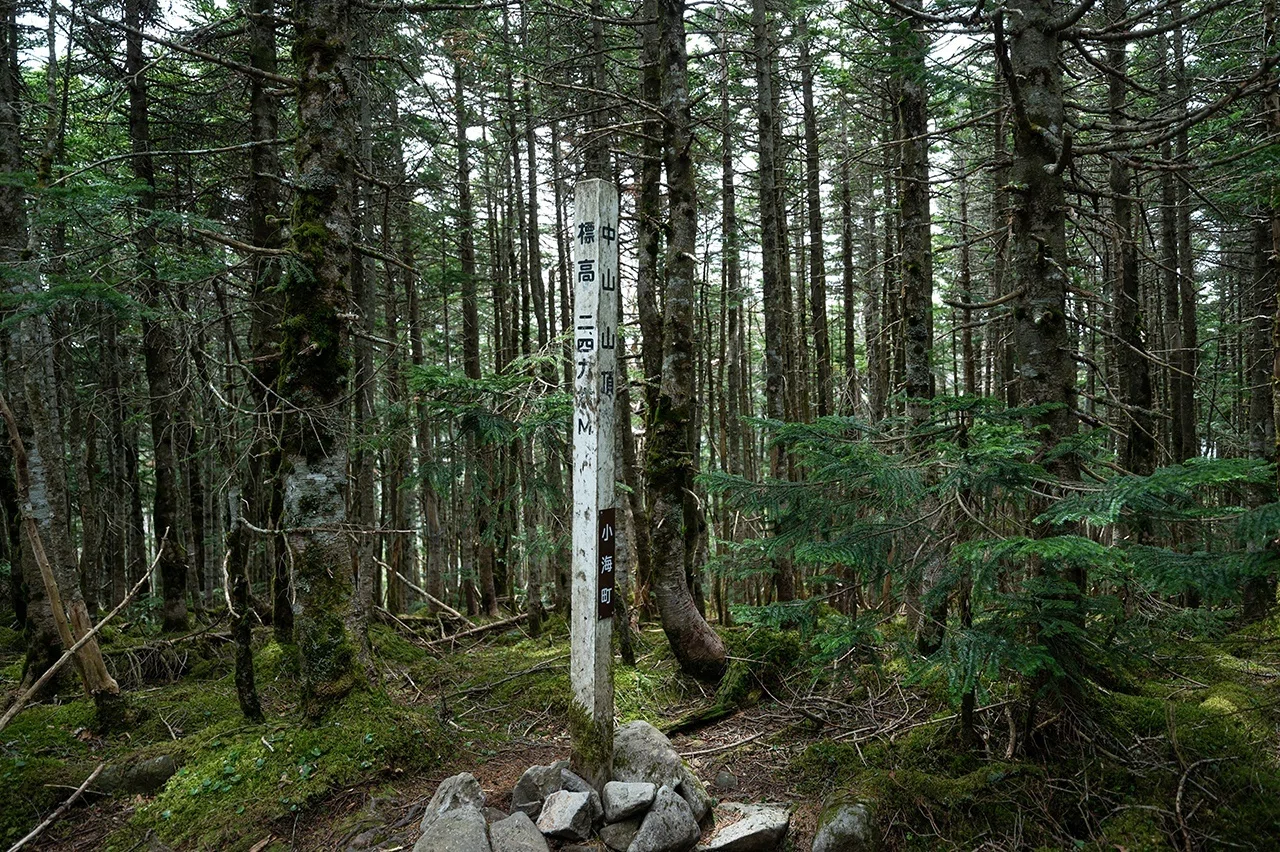 初！八ヶ岳ソロ山のぼりに大興奮〜苔の森とニュウ〜｜ほんだよしこ