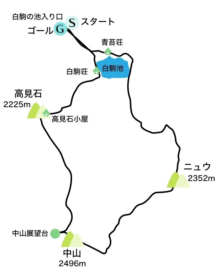 初！八ヶ岳ソロ山のぼりに大興奮〜苔の森とニュウ〜｜ほんだよしこ