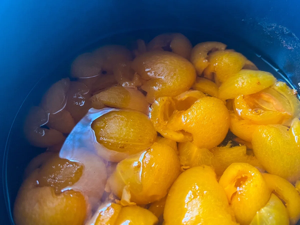 Registered Dietitian's Low-Sugar Sweets [Loquat Wine Compote]｜木下ともえ【管理 ...
