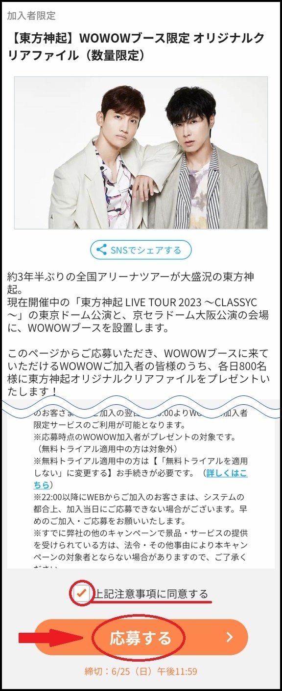 WOWOW加入者限定 クリアファイル 97148929db19a8ccd1160d9d337ef3
