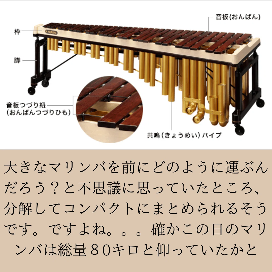 マリンバの生演奏をかぶりつき席で見ちゃった結果】～世界もココロも