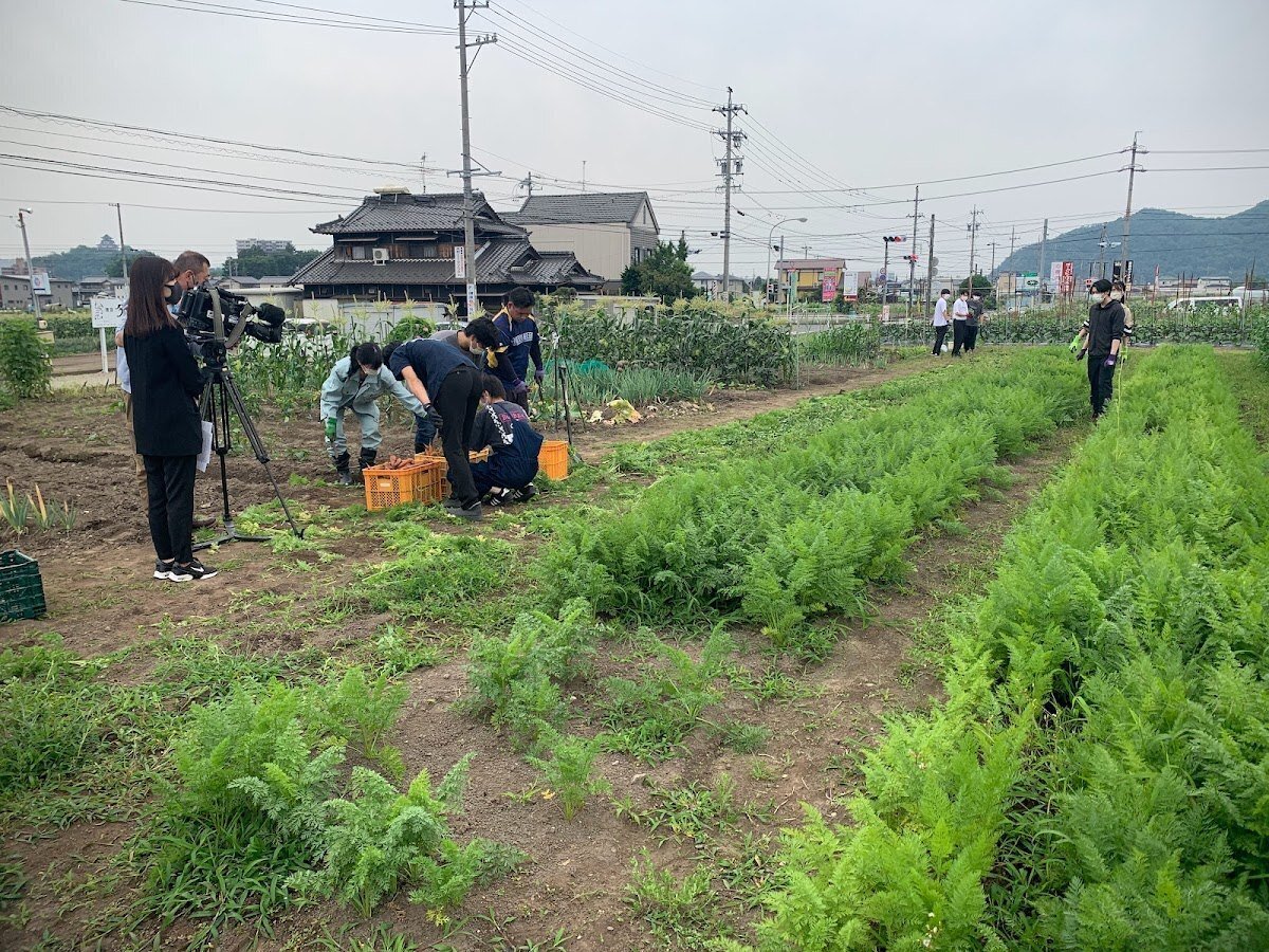 大学生×収穫 各務原にんじんの初収穫｜東海学院大学管理栄養学科