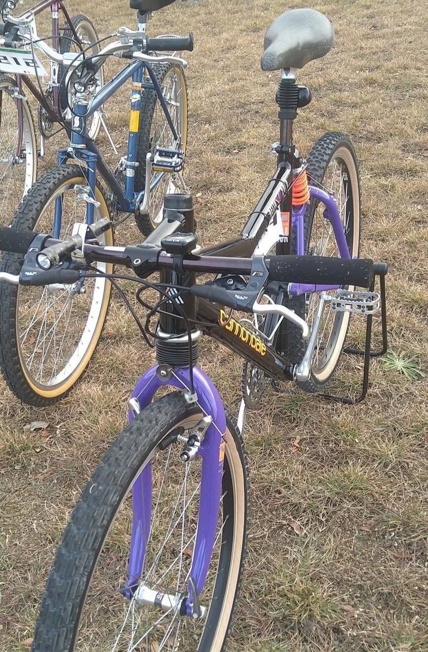 SPECIALIZED 20インチ マウンテンバイク パープル Hotrock 20