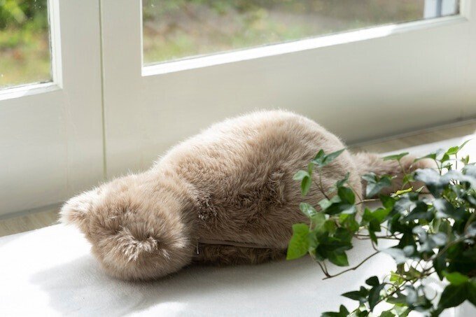 MeowEver 2 ＆ MeowEver Little 本物の猫と暮らすような体験が