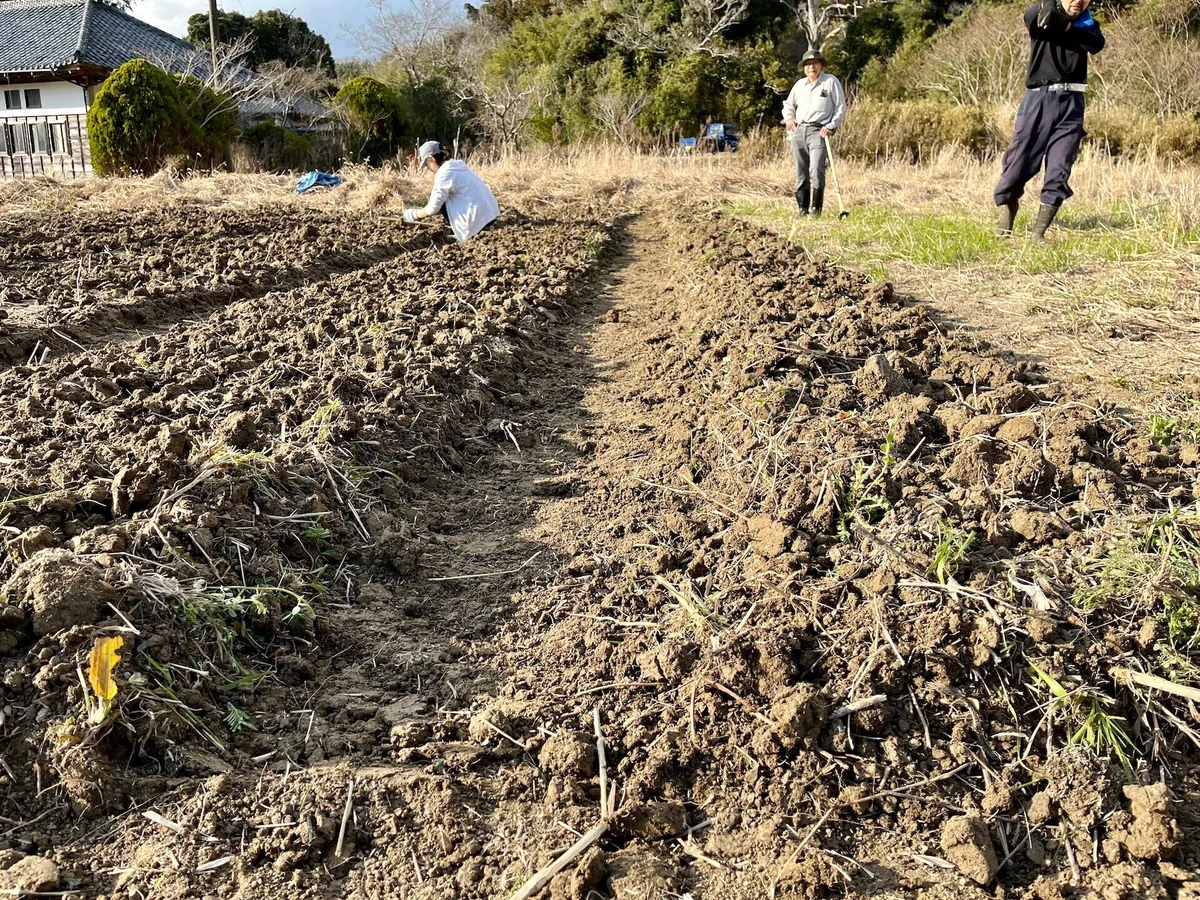 【自然農】水はけの悪い重粘土質の土で野菜を育てる方法｜南房総市｜だいじー（宮城 幸司） 