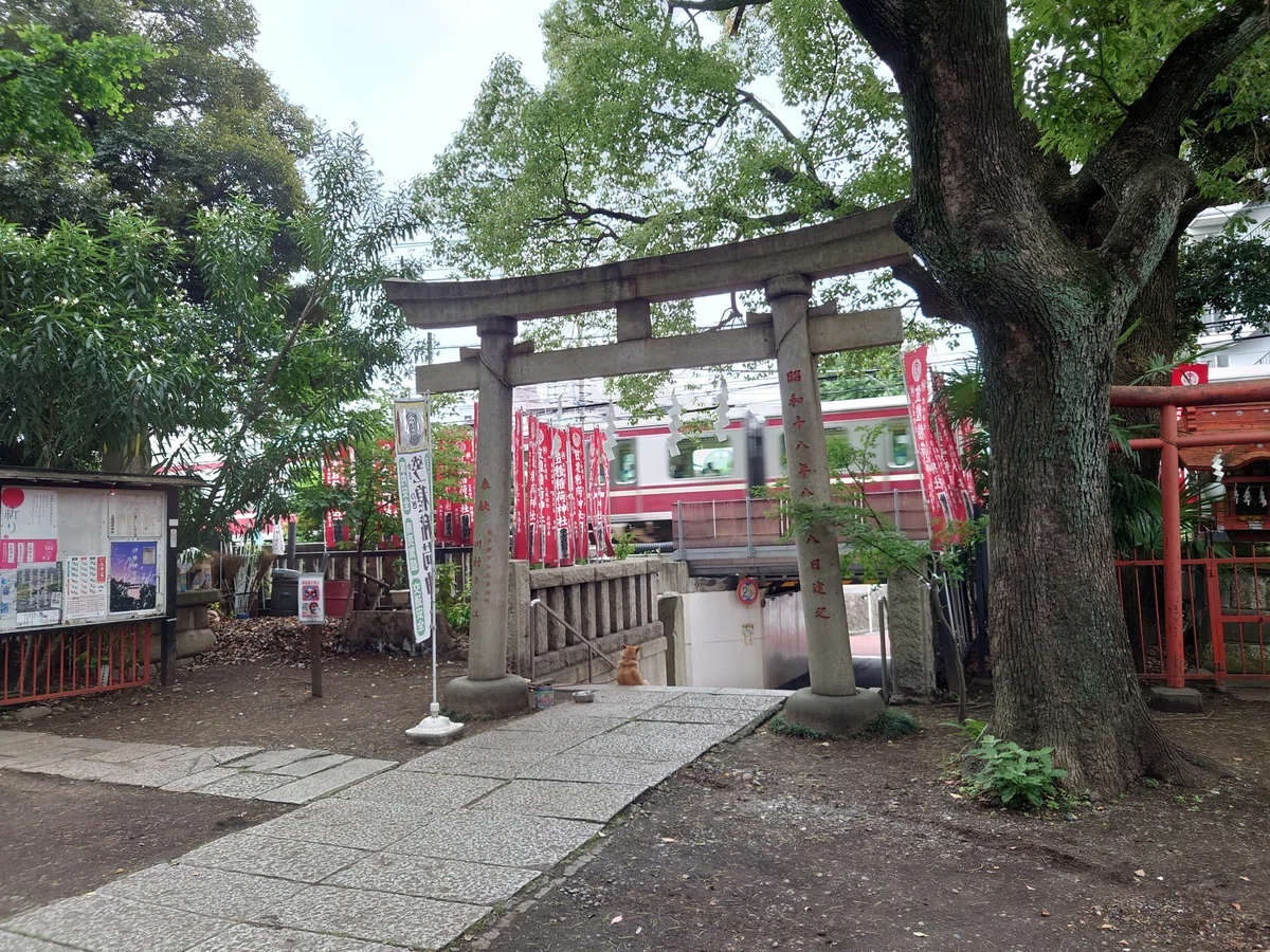 画像