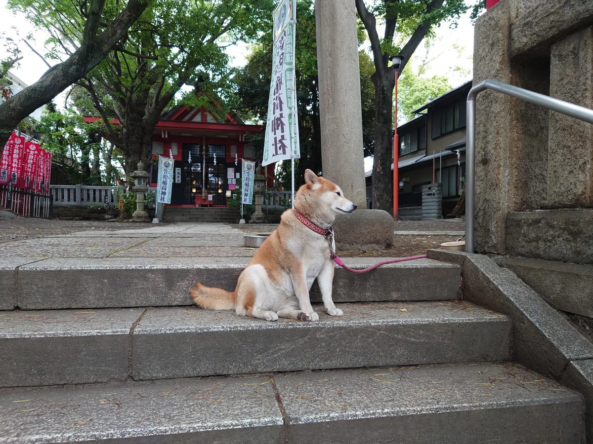 画像