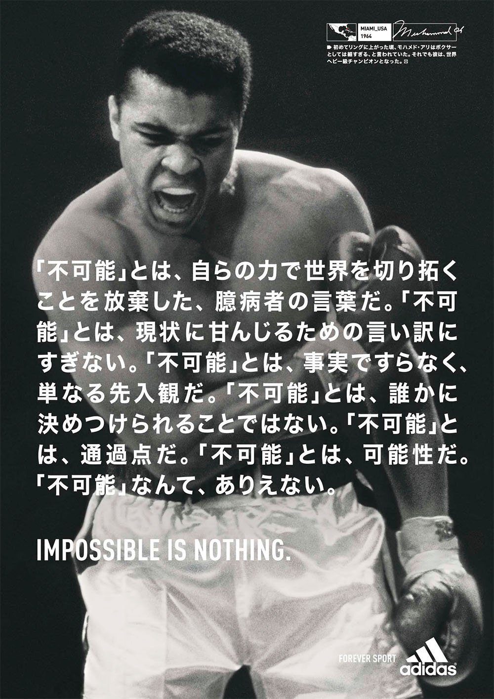 モハメド・アリと平和の追求、「あらゆる宗教は同じ真理をもっている