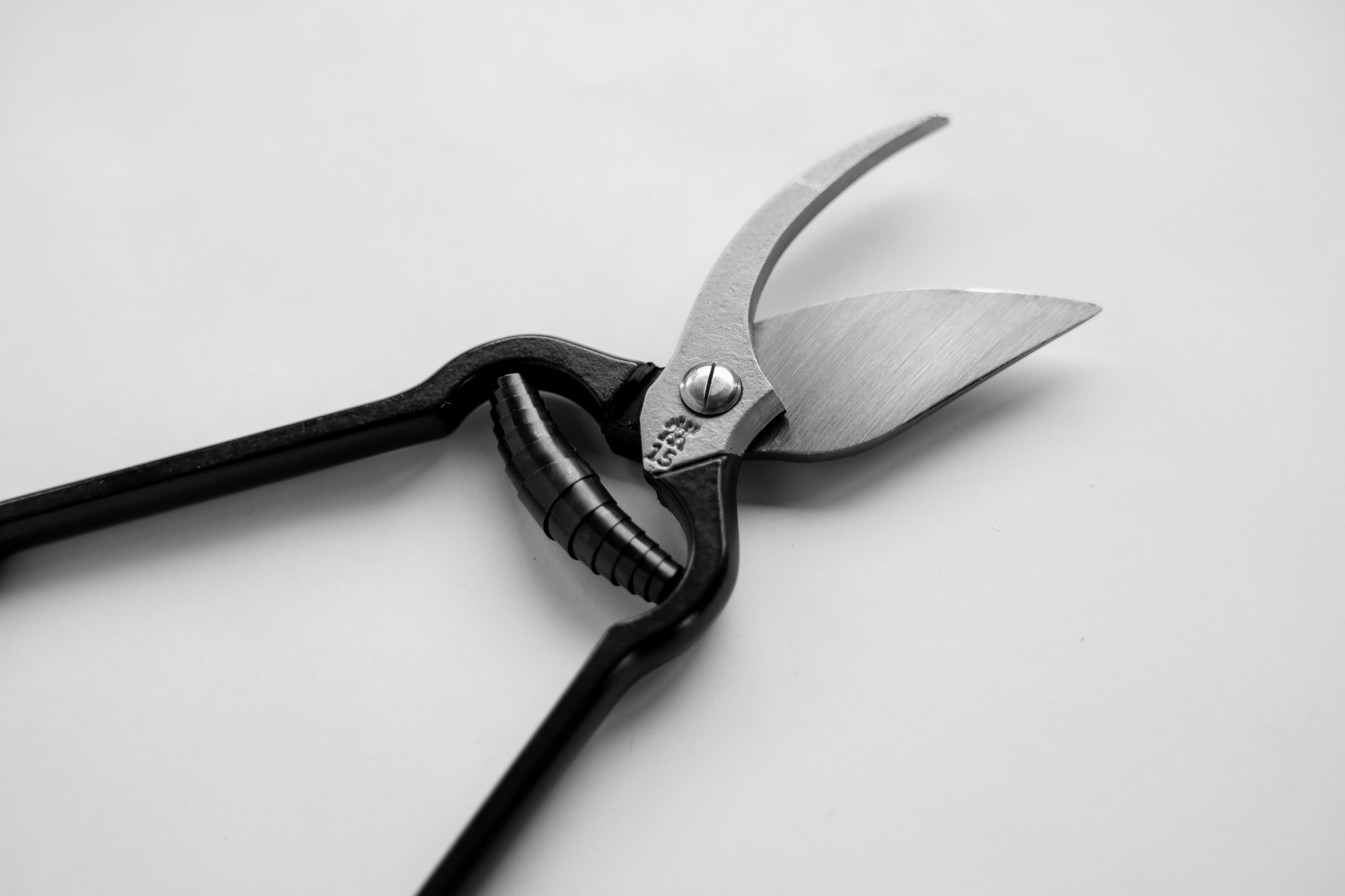 ZWILLING 剪定バサミ Makino Edition ツヴィリング 剪定ハサミ