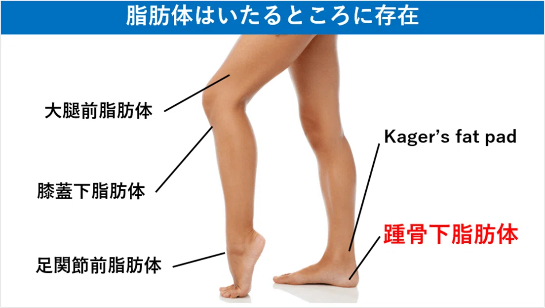 踵のところに見てください。凄くボロボロなってます。99999999999 あけよ