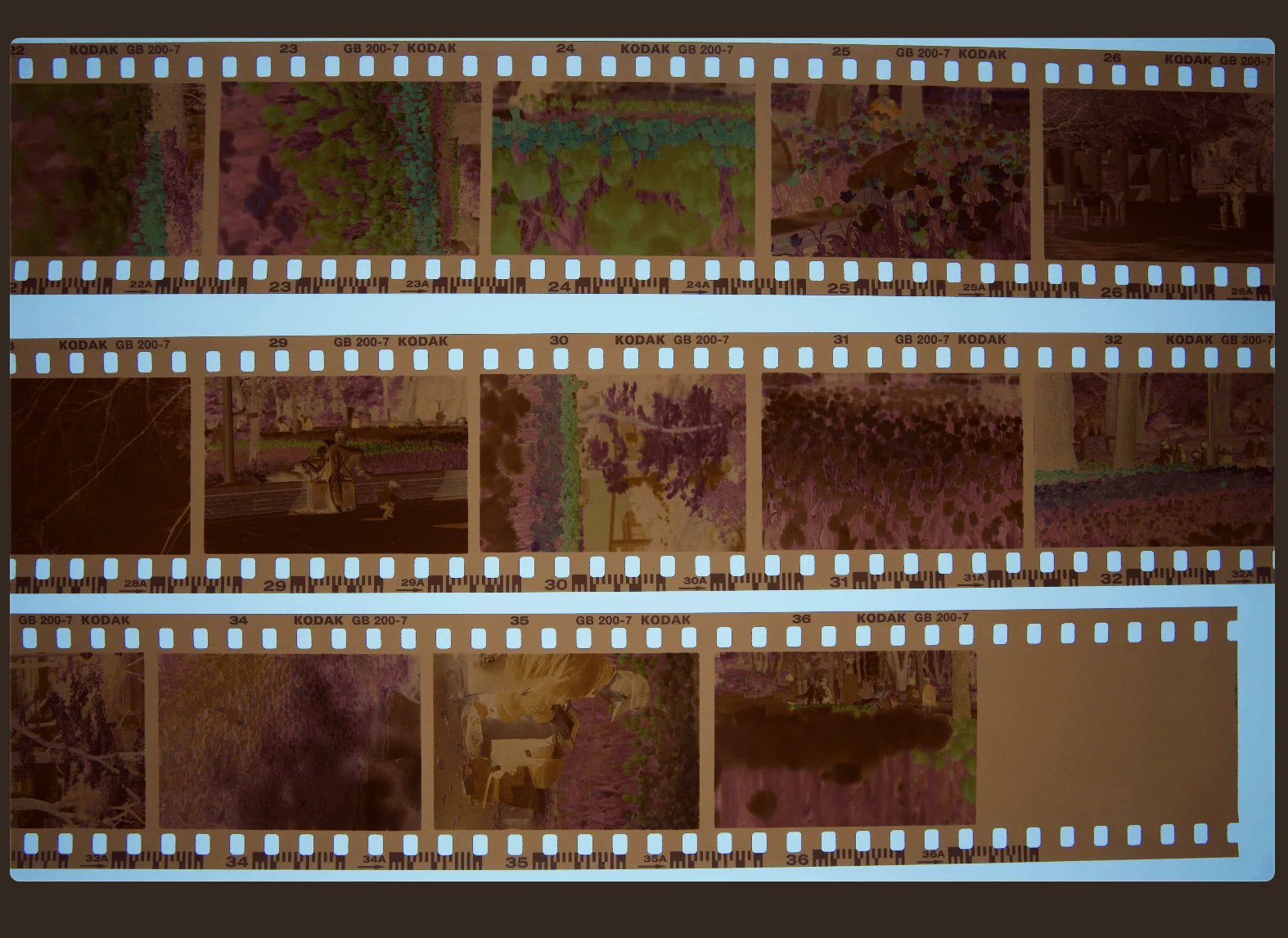 コレクター放出品　大量のネガフィルムとポジフィルム ネガフィルムxネガフィルム = ポジフィルム？？？｜Yoshimin📸(ライカ