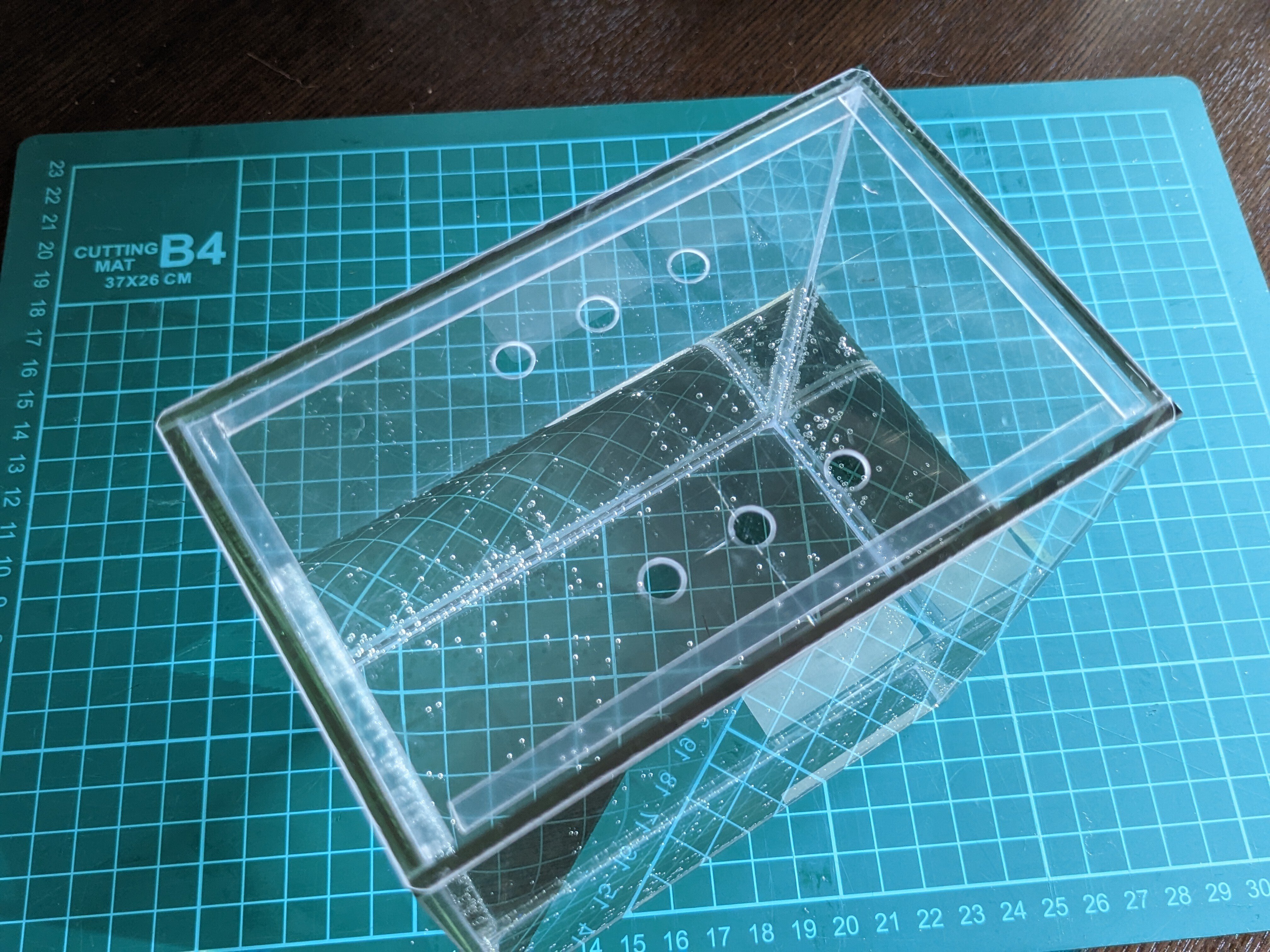 猫がいる家で魚を飼う～ベタのコレクションケースMの蓋の自作～｜きくみ