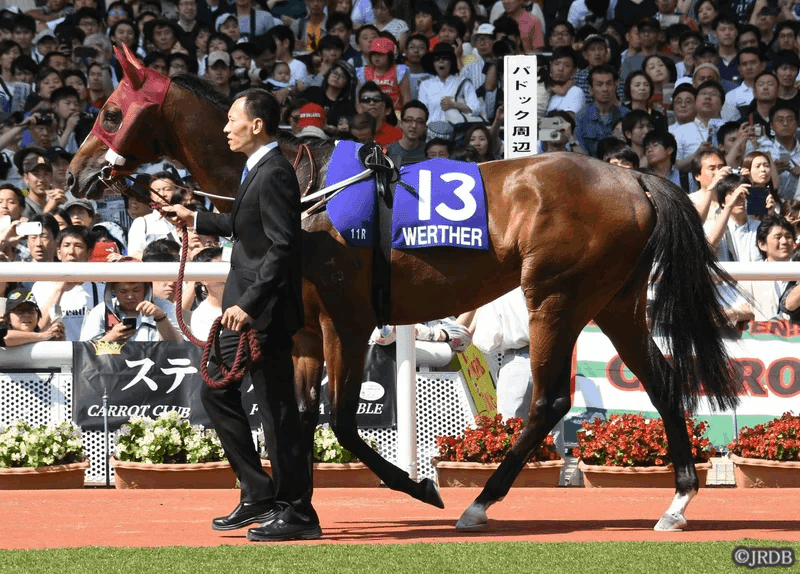 レア　矢作厩舎　最多賞金獲得　記念　ネックウォーマー　未開封 戸崎圭太がJRA通算1500勝達成「ひとつひとつ丁寧に乗って