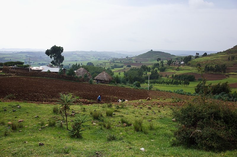 エチオピアの風景