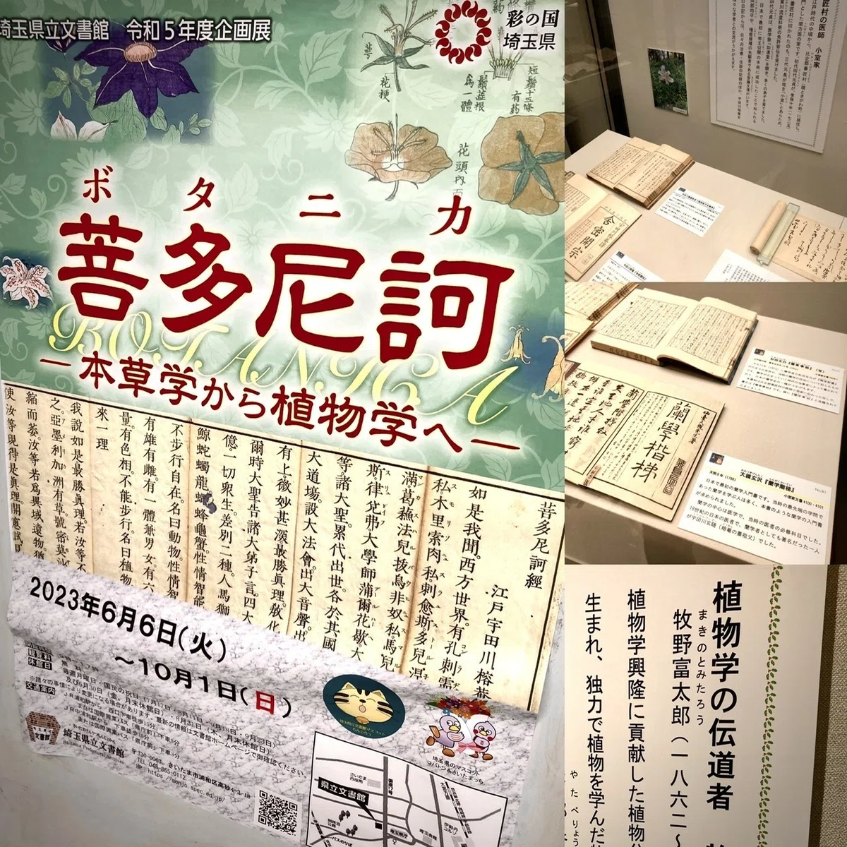 菩多尼訶経』の摩訶不思議？｜好音